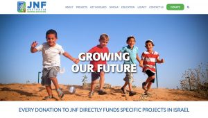 JNF Australia - studio website design melbourne Studio Rosinger2